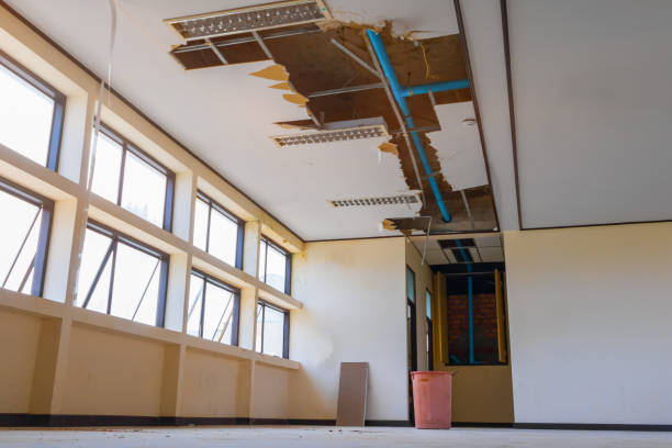 Best Water damage restoration near me  in Thorndale, PA