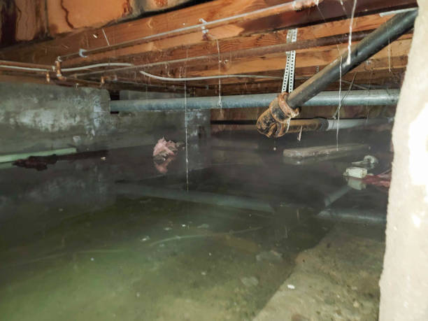 Best Flooded house restoration  in Thorndale, PA