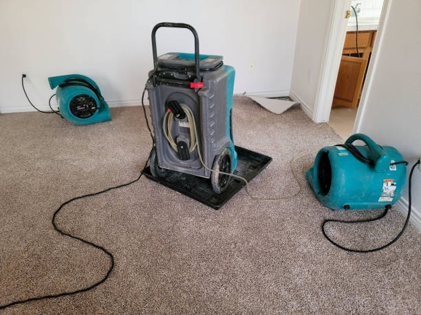 Best Flood damage cleanup  in Thorndale, PA