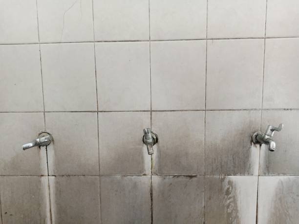 Best 24-hour water damage restoration  in Thorndale, PA