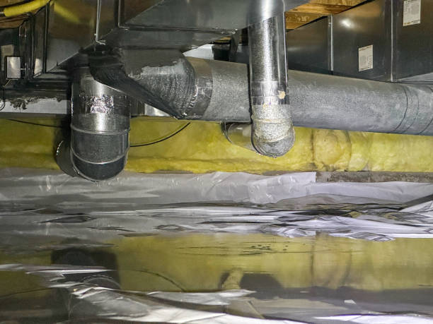 Best Sewage cleanup and water damage restoration  in Thorndale, PA