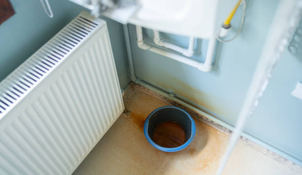 Best Carpet water damage restoration  in Thorndale, PA